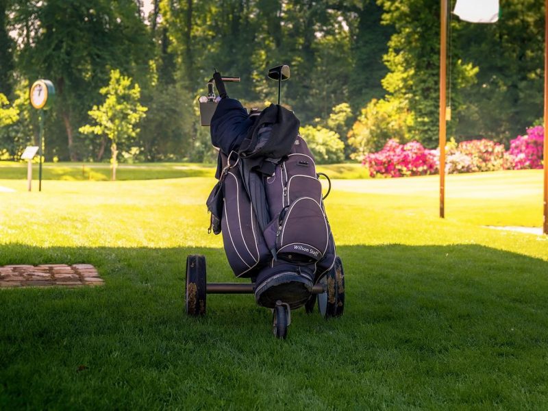 What Do Golf Courses Use to Kill Weeds? Terrific Golf